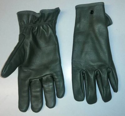 rsz_1rsz_gloves1.jpg
